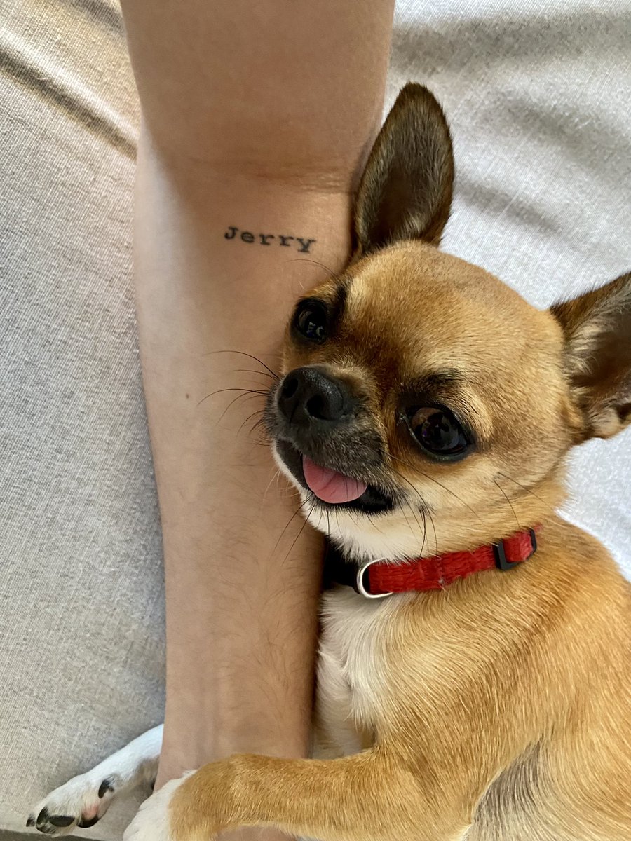 Mi mejor cura siempre será su corazón 💙