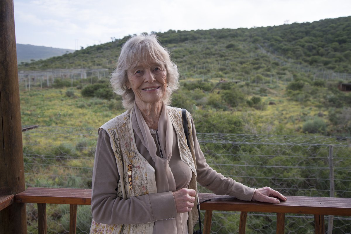 Wishing our inspirational Co-Founder Virginia McKenna OBE a wonderful 91st birthday today! 🎉🎈

On behalf of Born Free Foundation and all of our incredible supporters, we would like to say a big THANK YOU for your passionate commitment to #KeepWildlifeInTheWild!