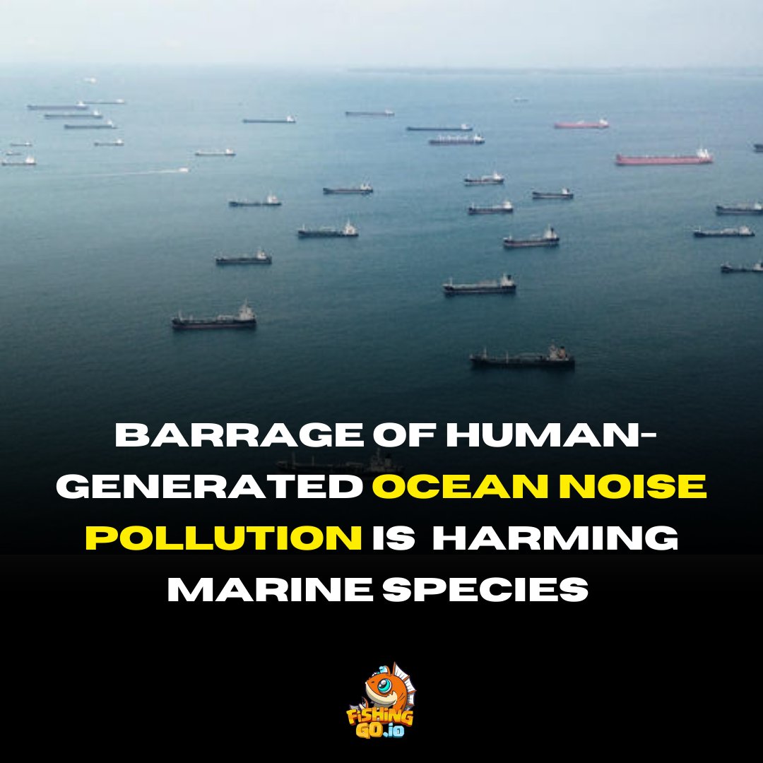 Fishingoio's tweet photo. #Fishingo.io  #ocean #underwaterphotography #nature #scuba #oceanlove #beachlife #scubalife #sealife #savetheocean #marinelife #whale #conservation #hawaii #deepsea #scubadiving #instafish #savetheplanet #sealife #Dubai https://t.co/huIp9TO2wC