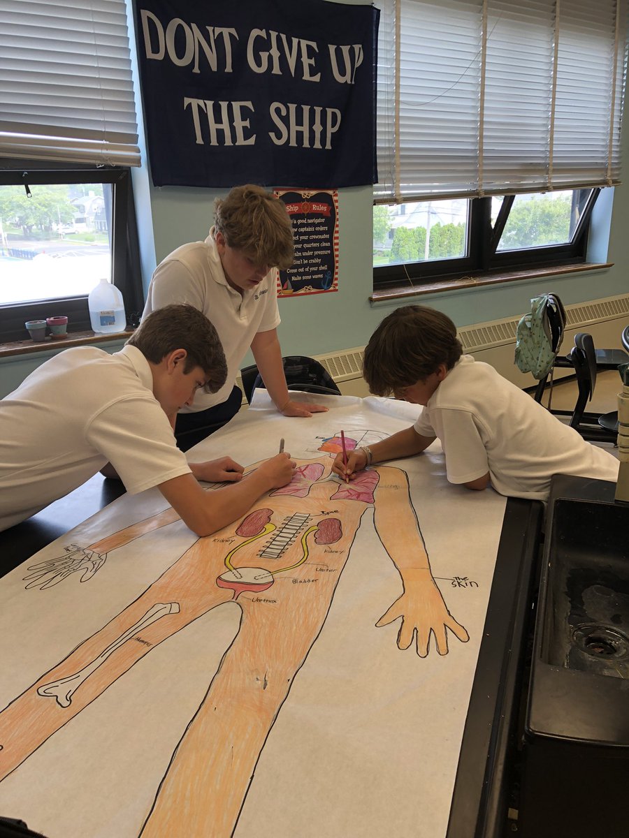 ScsFrancis's tweet photo. 7th grade working hard on their life-size human body posters @SCSprincipal @scspta @StCathStMarg https://t.co/HA5lpxOwVa