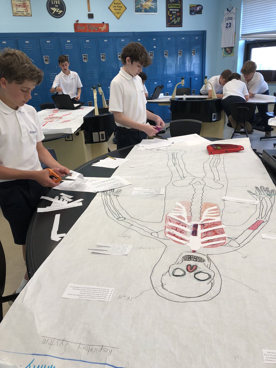 ScsFrancis's tweet photo. 7th grade working hard on their life-size human body posters @SCSprincipal @scspta @StCathStMarg https://t.co/HA5lpxOwVa