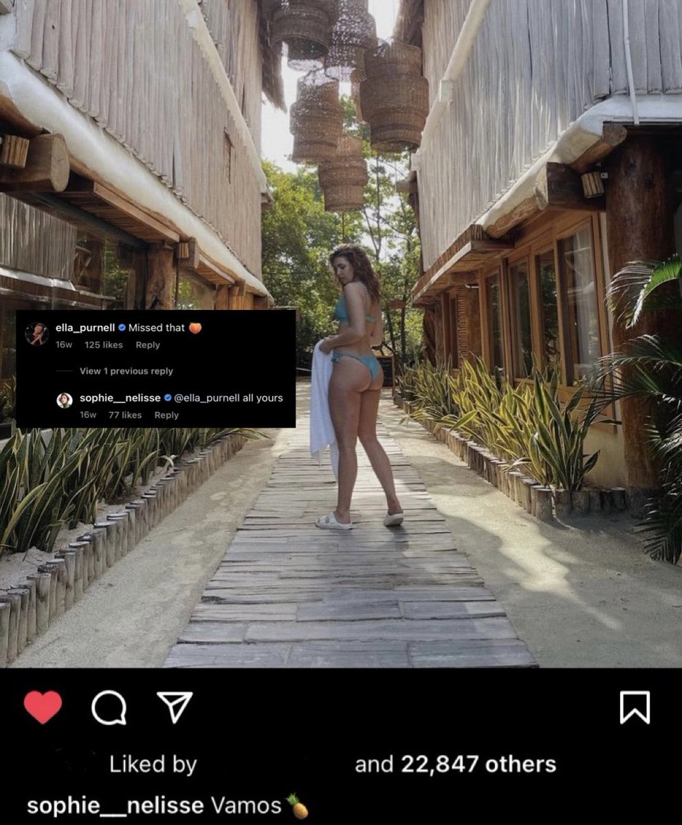 yellowpurnell's tweet image. 