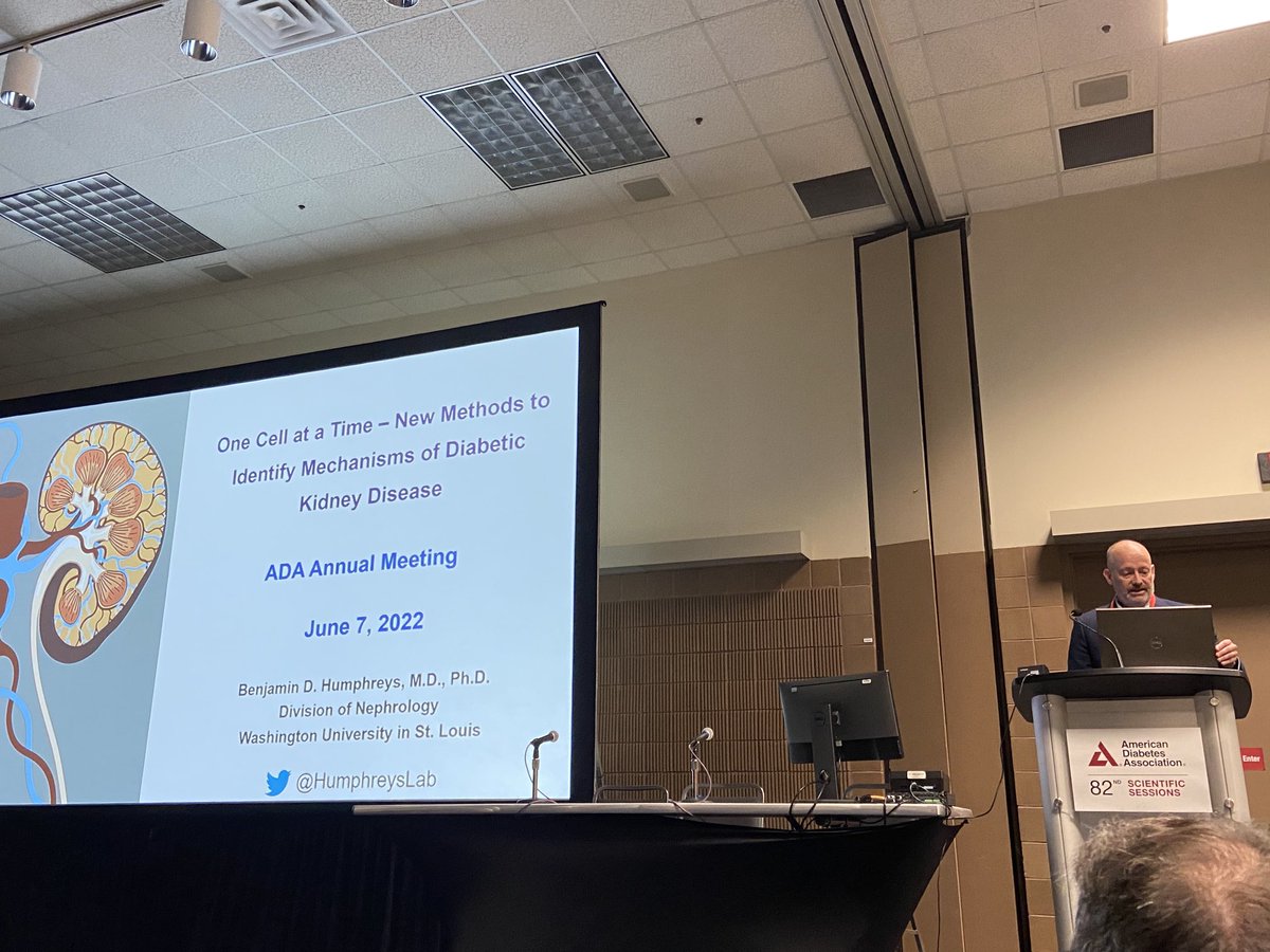 Katalin Susztak (@ksusztak) on Twitter photo Closing the diabetic kidney disease session âŠ<a href="/HumphreysLab/">Ben Humphreys</a>â© with a fabulous single cell data #ADA2022 Closing the diabetic kidney disease session âŠ<a href="/HumphreysLab/">Ben Humphreys</a>â© with a fabulous single cell data #ADA2022
