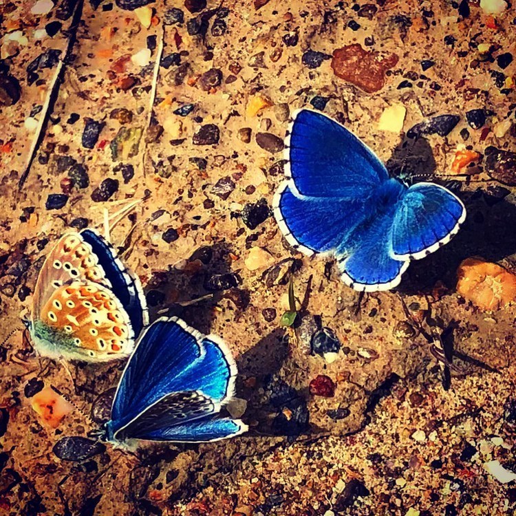 Evgenias Foto (@evgeniakitsiko1) on Twitter photo 