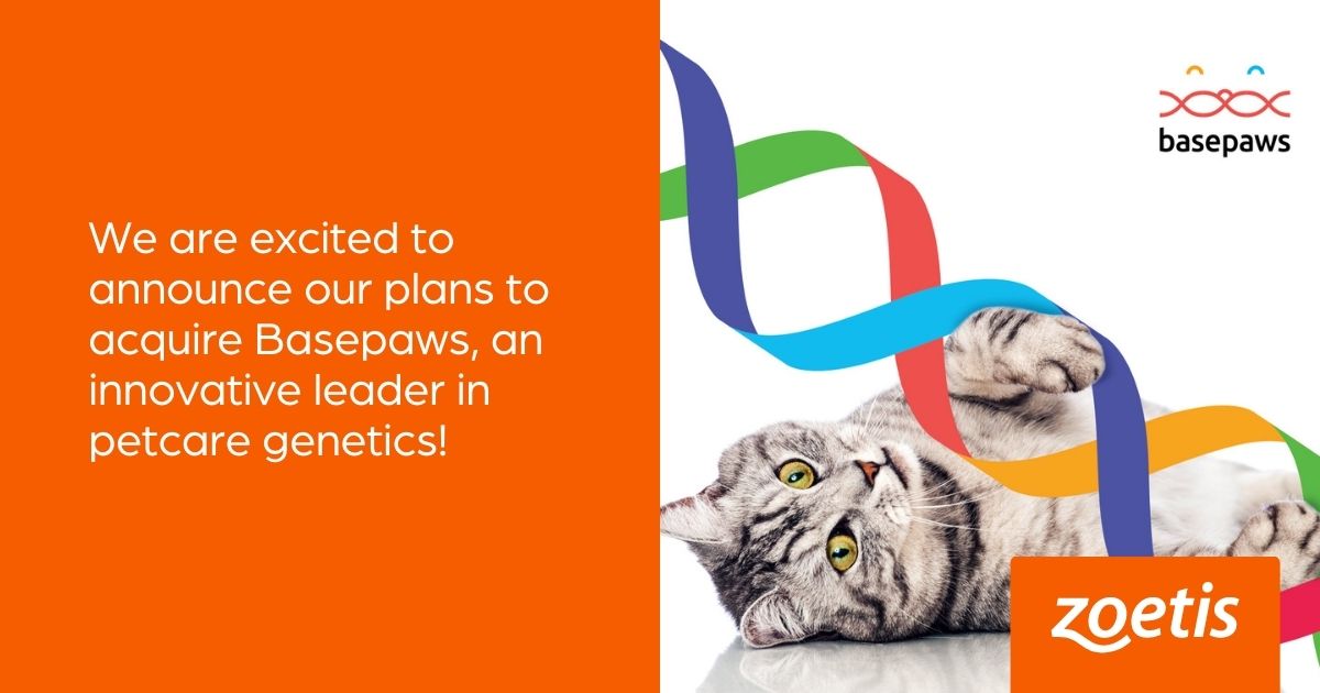 Zoetis's tweet photo. We are excited to announce our plans to acquire @Basepaws, an innovative leader in petcare genetics! This agreement will help advance our portfolio in the precision #animalhealth space, and inform and shape our future pipeline of #petcare innovation. https://t.co/YpFE1KPFIP $ZTS https://t.co/uUo9ceV9Hz