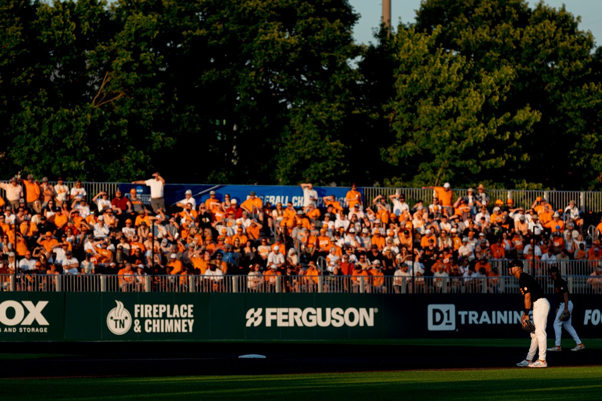 Tennessee Baseball tweet media