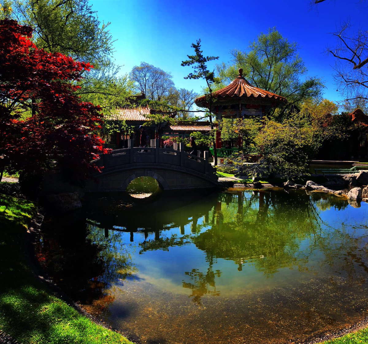 Evgenias Foto (@evgeniakitsiko1) on Twitter photo 