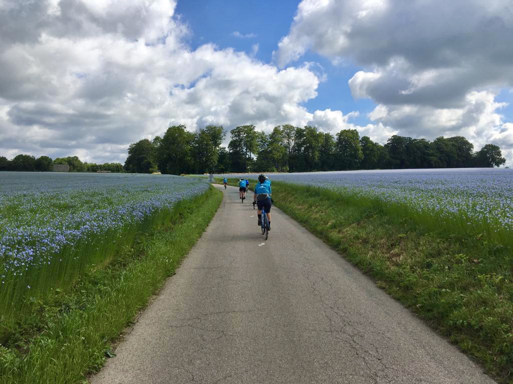 Ferrepsy tweet media