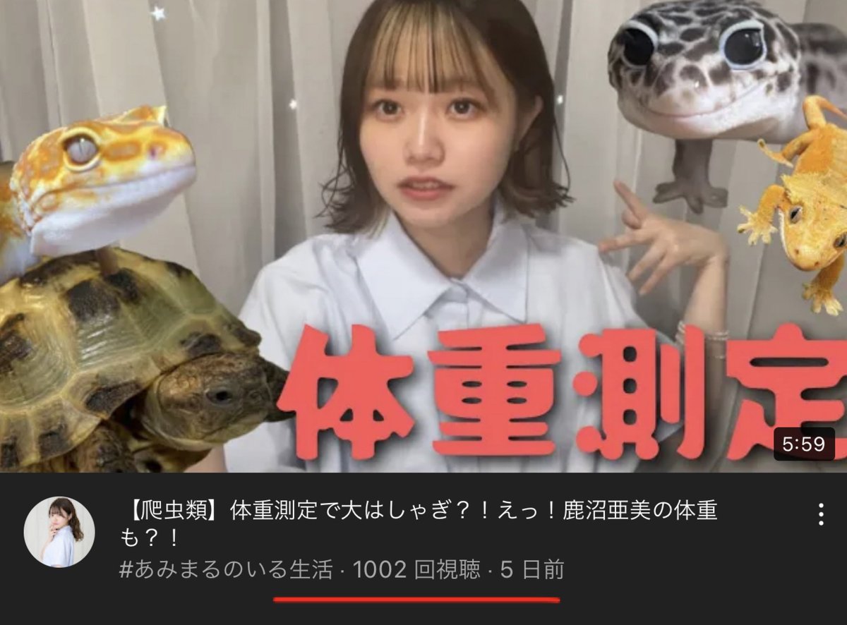 sammy_a30's tweet photo. 再生回数1,000回です!
https://t.co/dRLH4FtgGC
#鹿沼亜美 #あみまる #amimaru #あみまるのいる生活 #爬虫類好きと繋がりたい #爬虫類女子 #新人YouTuber https://t.co/UfgdsL8Zhy