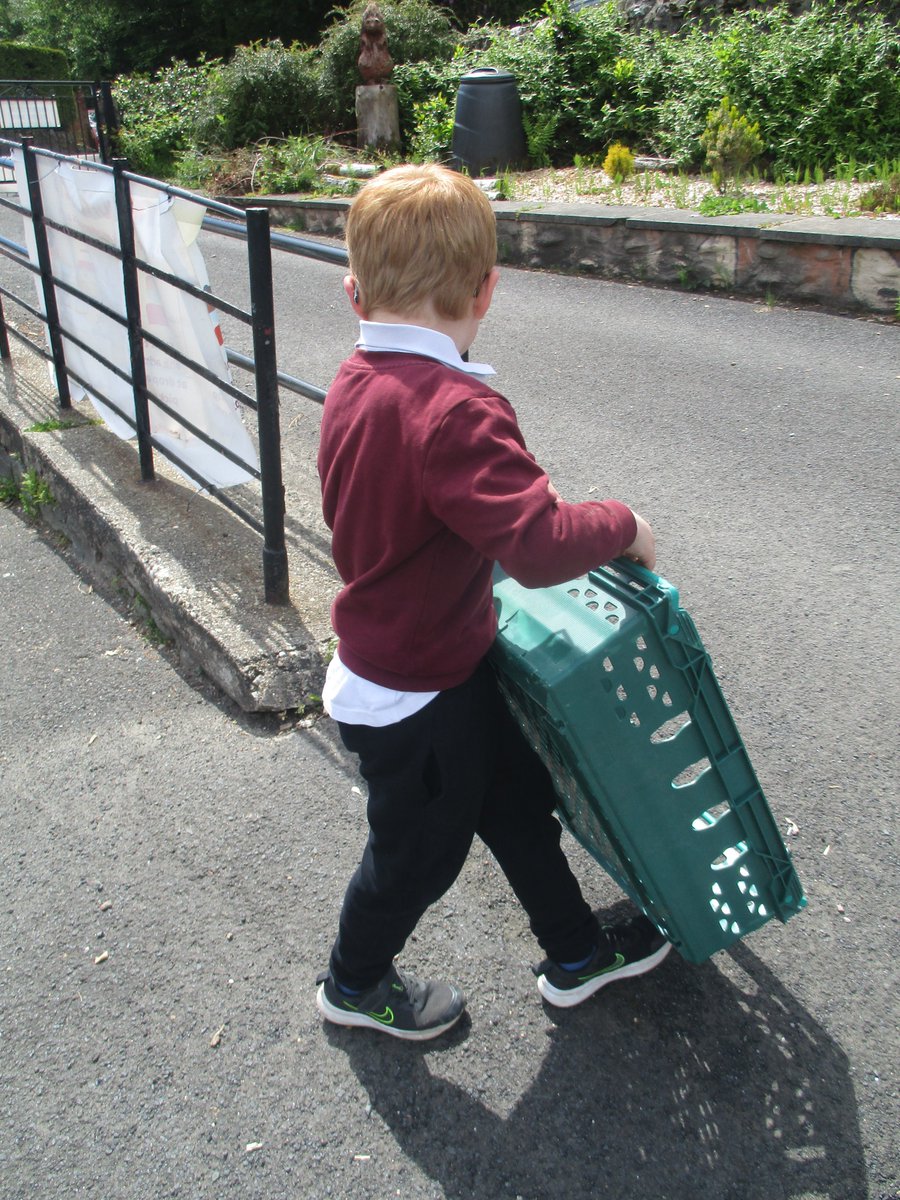 StrachurP's tweet photo. P1-4 outdoor play today ... fun in the sun π! #strachur #strachurprimary #abc_OCTF #abcey #creativity #collaboration #fun #problemsolving #outdoorplay https://t.co/QE7FxHZ7iL