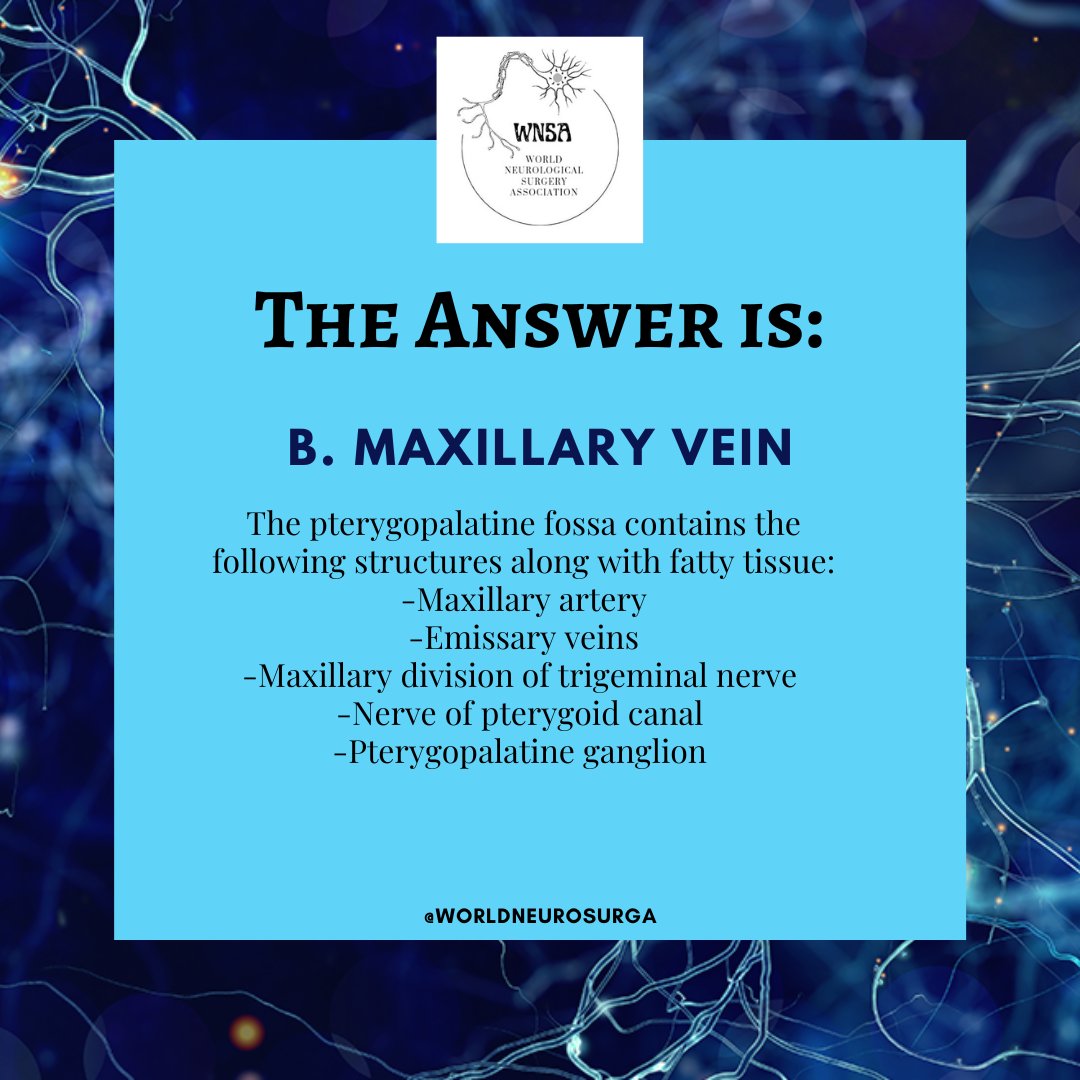 worldneurosurga's tweet photo. 🥁✨ The answer is here ✨🥁
#NeuroQnA #Neurosurgery #NeuroTwitter #MedEd #MedTwitter #neuroscience #WNSA https://t.co/DePZVFWLmn