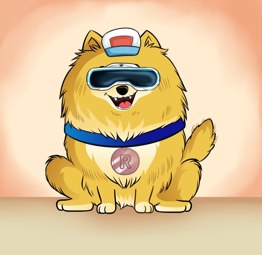 Rocky Inu Official | NFT launching on June 12th tweet media