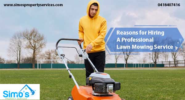 simosproperty's tweet image. #lawnmowing is difficult and should only be performed by professionals. Read on to learn why you should employ lawn mowing services in #parramatta.
🌐 shorturl.at/rzHR9

#lawnmower #lawnmowers #lawnmowing #lawnmowingservice #lawnmowingparramatta