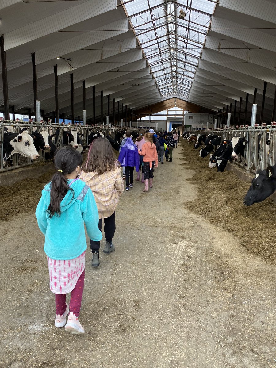 heather_ducey's tweet photo. First field trip of the year was a success! Thanks to #LestersFarm for having us 🥳 https://t.co/vI33X1PLMq