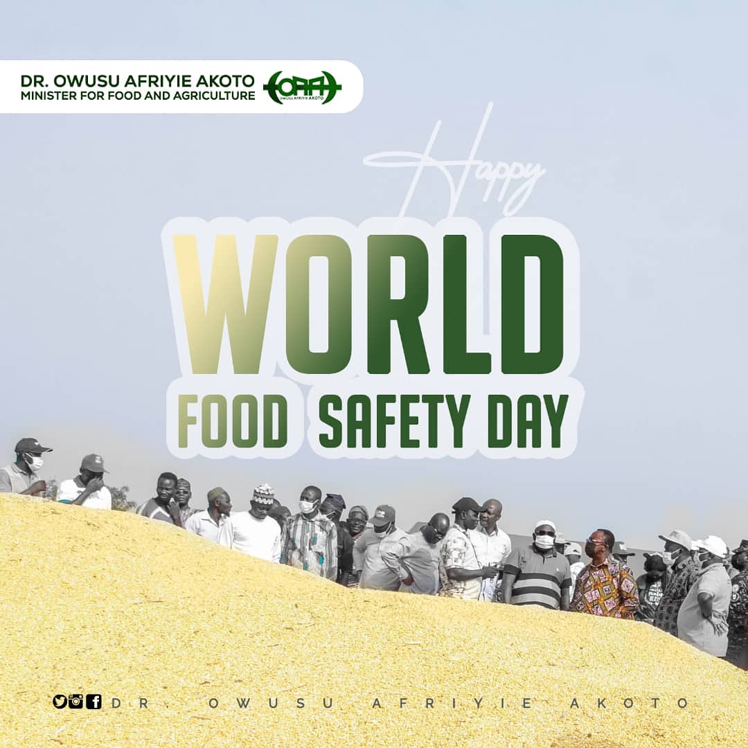 afriyie_akoto's tweet photo. We must eat to survive, stay strong and healthy. Keep your food safe.
Let's work together for "Safer food for better health".
#drowusuafriyieakoto
#agriculture
#foodsafety
#safefoodhappylife
#safefoodhealthylife
#GlobalFoodSafety
#keepfoodsafe
#WorldFoodSafetyDay2022 https://t.co/kQBZqsKj5Y