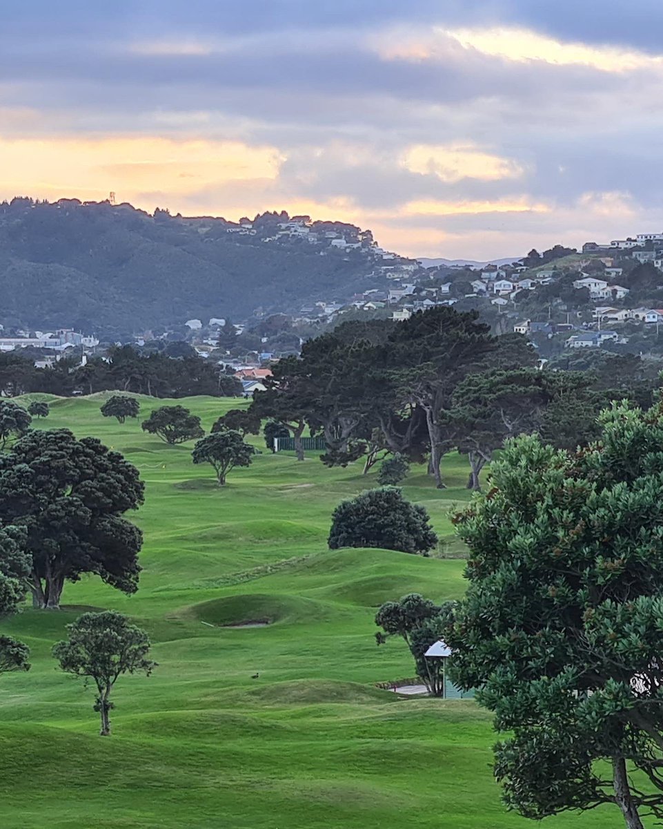 MiramarLinks's tweet photo. Great pics of our links taken by our members last weekend! #golf #golfchat #golfers #photography https://t.co/UPu3xn2UNI