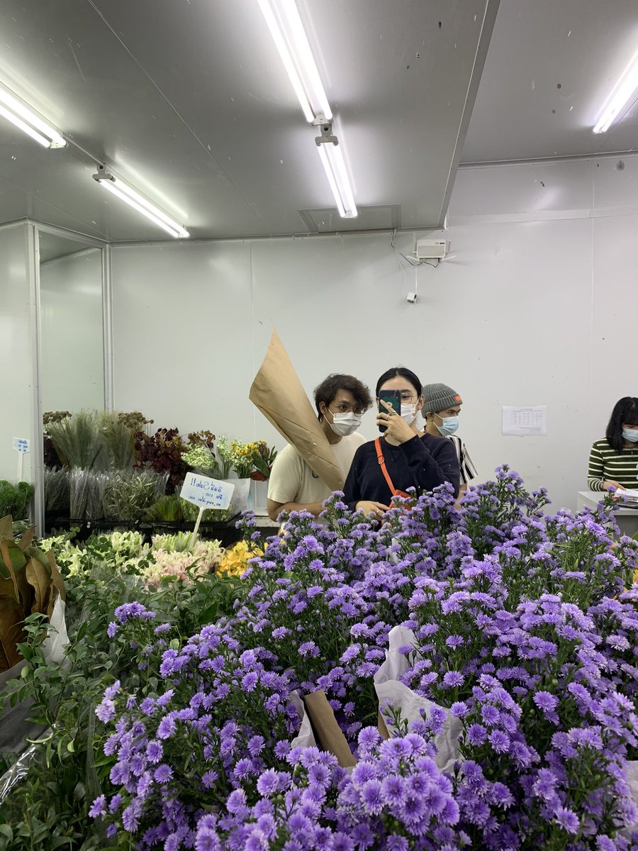 m_mindchay's tweet photo. Flowers in my phone ✨
เลิฟการไปซื้อดอกไม้ที่ปากคลอง 
#Flowers https://t.co/5ZO7atuAq2
