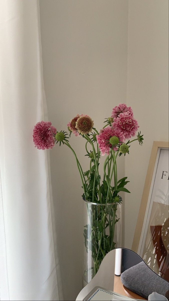 m_mindchay's tweet photo. Flowers in my phone ✨
เลิฟการไปซื้อดอกไม้ที่ปากคลอง 
#Flowers https://t.co/5ZO7atuAq2