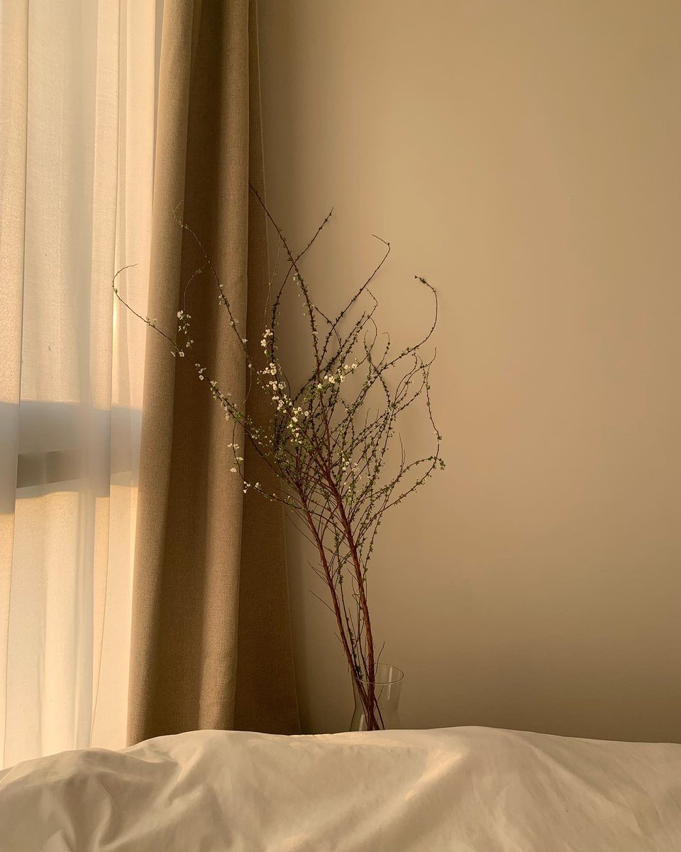 m_mindchay's tweet photo. Flowers in my phone ✨
เลิฟการไปซื้อดอกไม้ที่ปากคลอง 
#Flowers https://t.co/5ZO7atuAq2