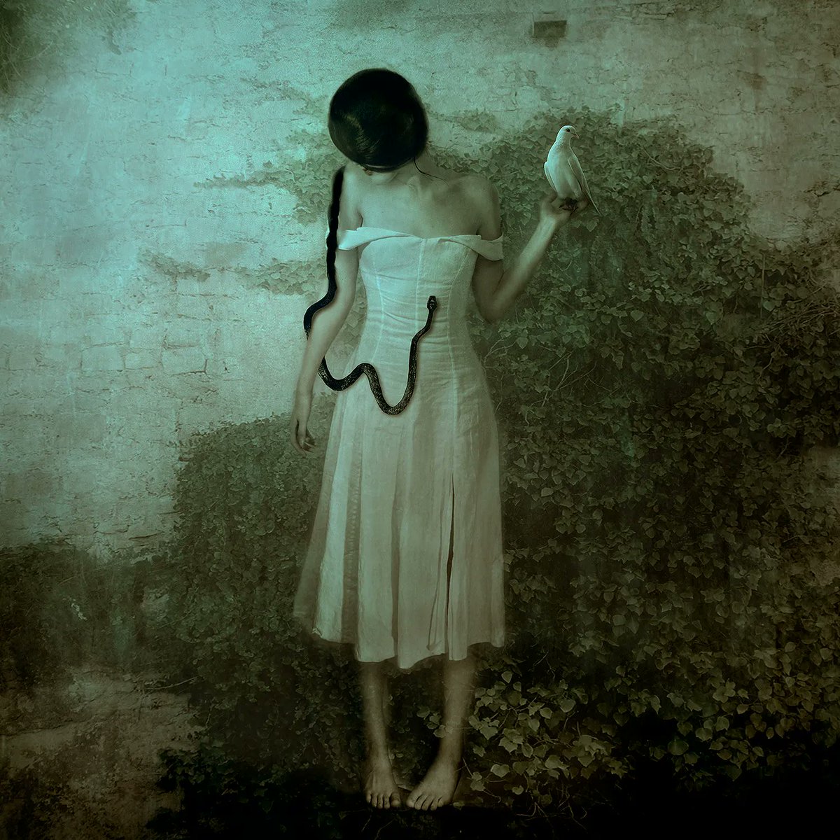 ExperienceModa's tweet image. Balancing Act / @NatalieShau / @objktcom

Black Magic: Digital Photography by Natalie Shau

#MODAcollection #MODAsolo
#photographer #digitalphotography #NFTartist #nftart