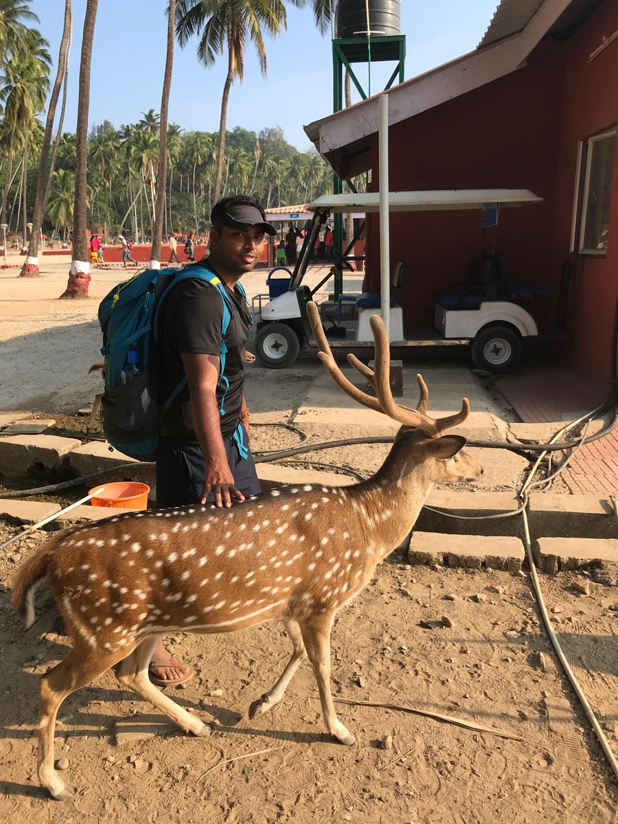 Payara_Fish's tweet image. Duke & the Deer & @jGauravGupta  !
Today on Instagram, get to know Gaurav. He talks about creating @ImJeddict, a @JakartaEE development tool, what he likes about working at Payara & his role:
hubs.ly/Q01c-Ycg0 @dukejava @dukecommunity #JavaDuke #MovedbyJava