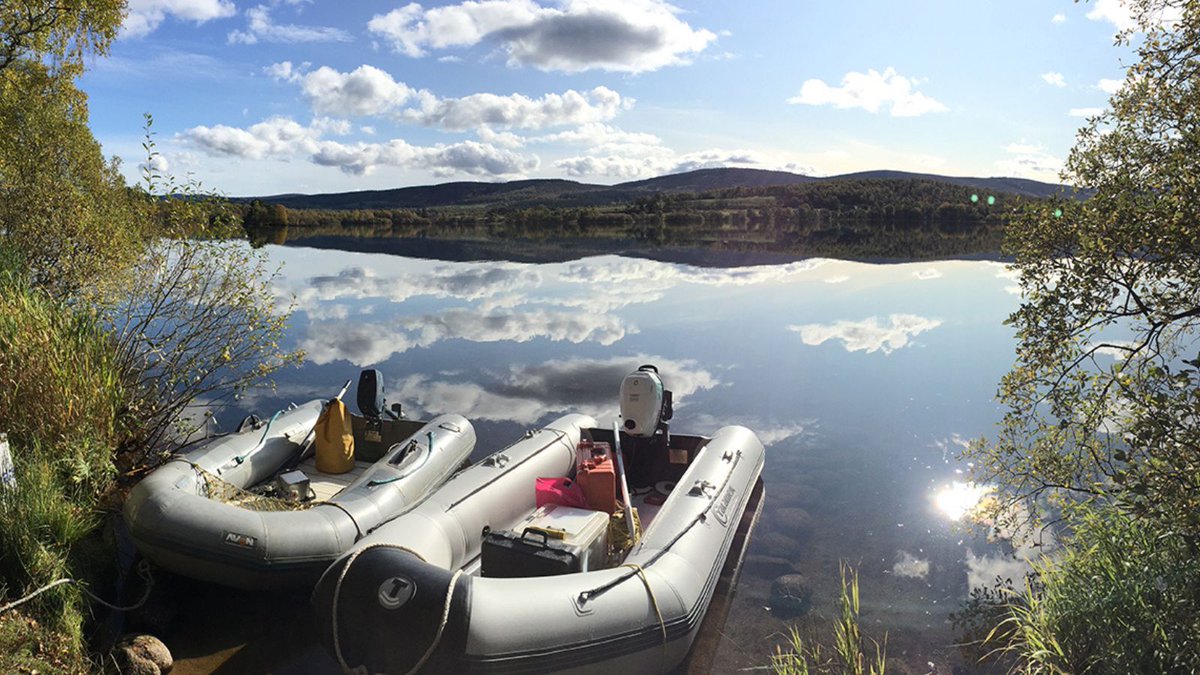 UCLgeography's tweet photo. 'Reflections of Loch Kinord sampling' by Neil Rose Professor of Environmental Pollution and Palaeolimnology. 

Part of annual monitoring at Loch Kinord in Scotland. Neil says, "Occasionally we do get a perfect autumn day..."

Part of the UCL Geography #ResearchImages Competition https://t.co/qlJiybBR07