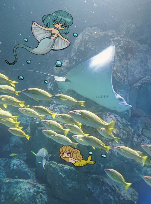 人魚が展示されている水族館に行きたい🐟 