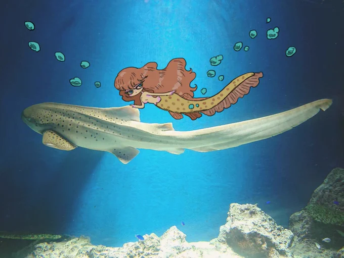 人魚が展示されている水族館に行きたい🐟 