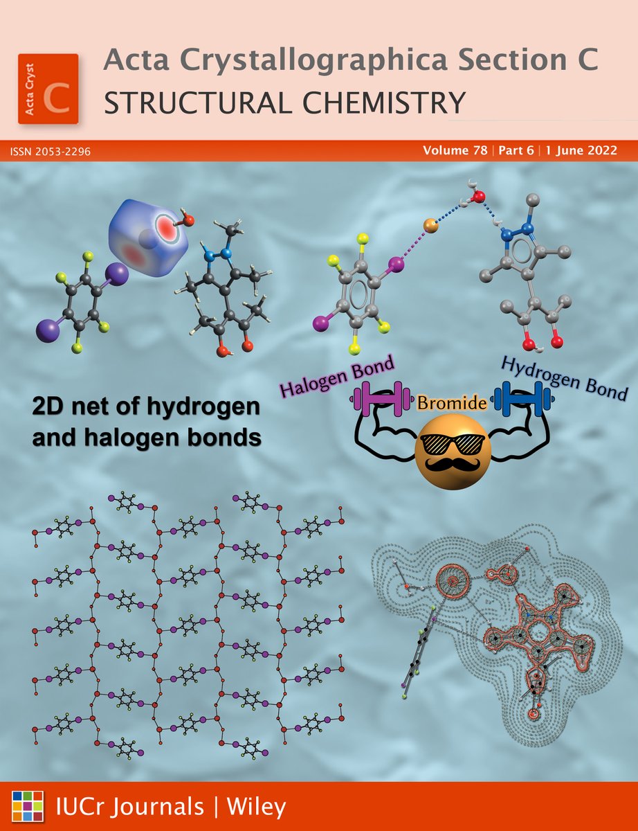 June issue @ActaCrystC #Structural #Chemistry The cover features the weaving of a 2D net of hydrogen and halogen bonds @RWTH #IAC @dfg_public @deal_projekt #ProjektDEAL #crystalengineering #halogenbond #hydrogenbond #QTAIM #crystallography #openaccess journals.iucr.org/c/issues/2022/…