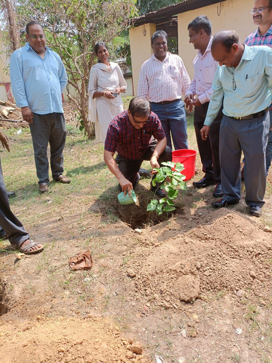 CGST_Rourkela's tweet photo. Plantation of Saplings on 07.06.2022 by Rourkela CGST Commissionerate at Rourkela during ongoing  #FinMinIconicWeek #AmritMahotsav @cgstcusbbsr @cbic_india https://t.co/KdIDnTcH1R