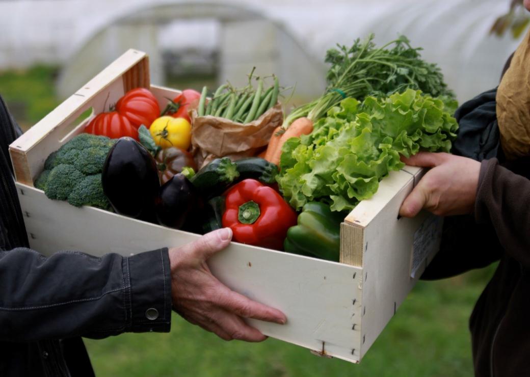 BanqueDesTerr's tweet photo. #NotreActionESS 🌾
Il est encore temps de concocter aux p'tits oignons un dossier de candidature pour l'AMI "Accélérer la transition #alimentaire" 🍎🥕
La 3e vague se clôture le 30/09 ⌛️
En attendant la dégustation pour nous, c'est à vous de jouer 👉 https://t.co/espKGxJh7P https://t.co/1XhaSHRm9f