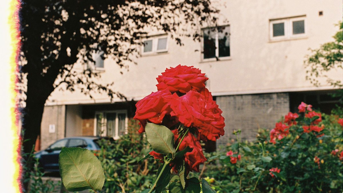 UCLgeography's tweet photo. 'Concrete Roses, Old School Games, Commonwealth Avenue?' by @DeTelemaque 

Taken from Nathaniel TélémaquePhD research 'Everyday things white city: Generations'.

Part of the UCL Geography #ResearchImages Competition https://t.co/4ttODrCTfc