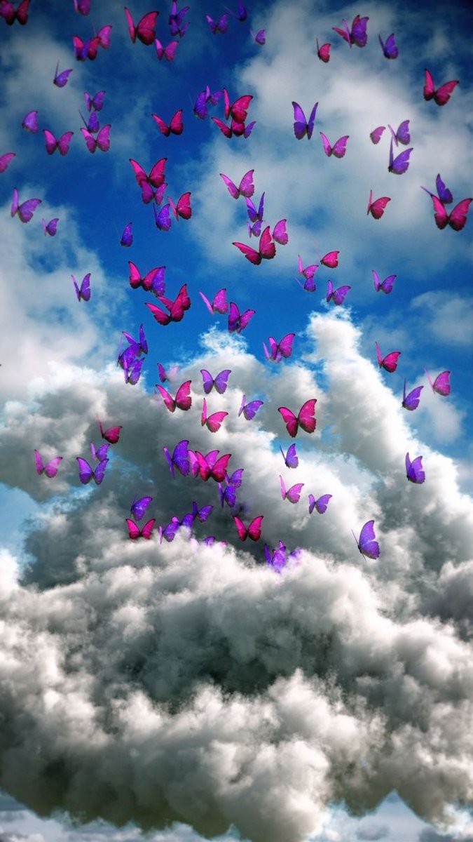 nature_petals's tweet photo. Listen
to
what
people
don't
say
โจ๐ซโจ๐ซโจ๐ซโจ๐ซ
#Listen #people #titbot https://t.co/gICqOOZYKI