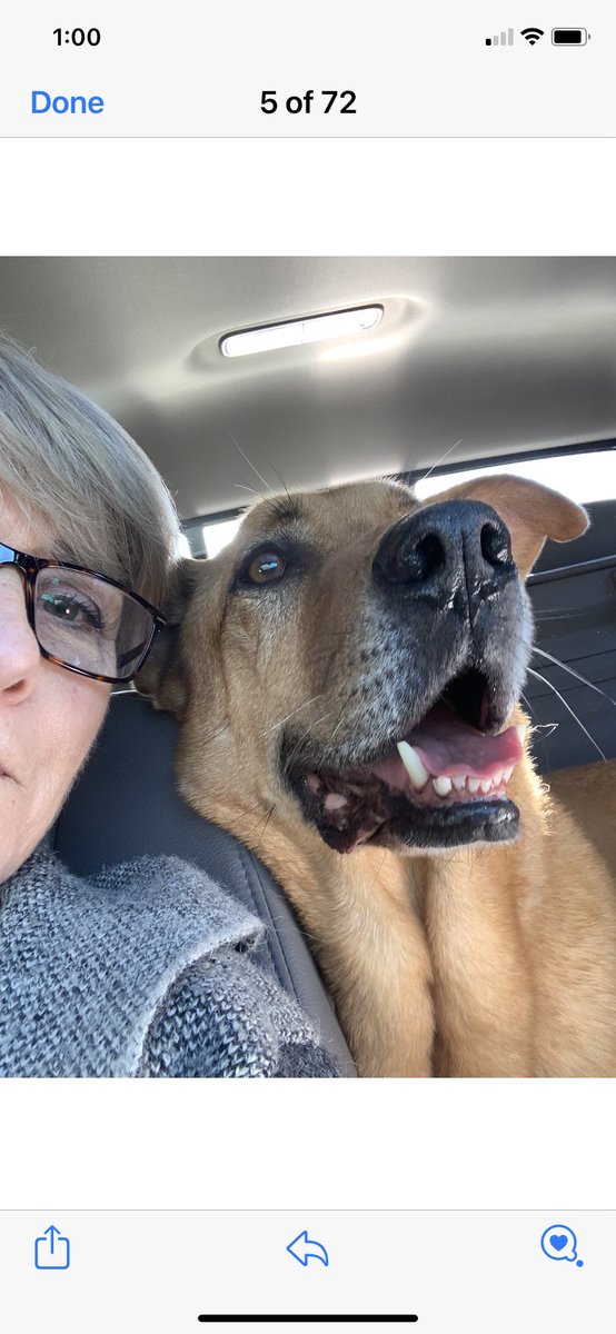 Oh my Dog! I do have a double chin! (but I’m still adorable)