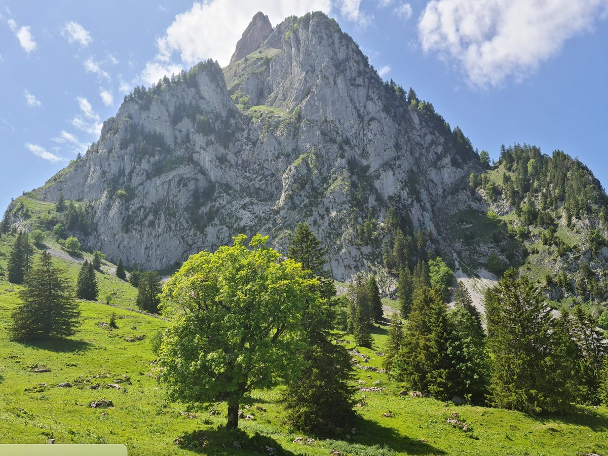 Veronique_Kanel's tweet photo. Une des plus belles étapes de la #viajacobi en #Suisse entre Einsiedeln et Schwyz pour découvrir le petit et le grand Mythen #magicmountains: https://t.co/qqbkB6LZ58 #SuisseMobile @MySwitzerland_f #schwyztourismus https://t.co/Eh53UCkCRG
