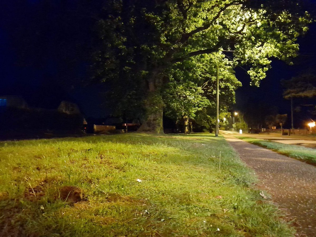 Night time walks along Stalham Road, #Hoveton St John