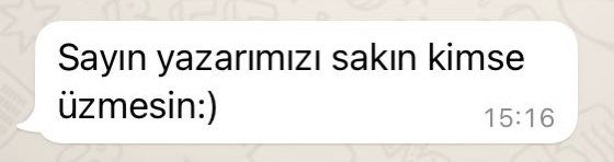 Ayşe Seyyide, PhD tweet media