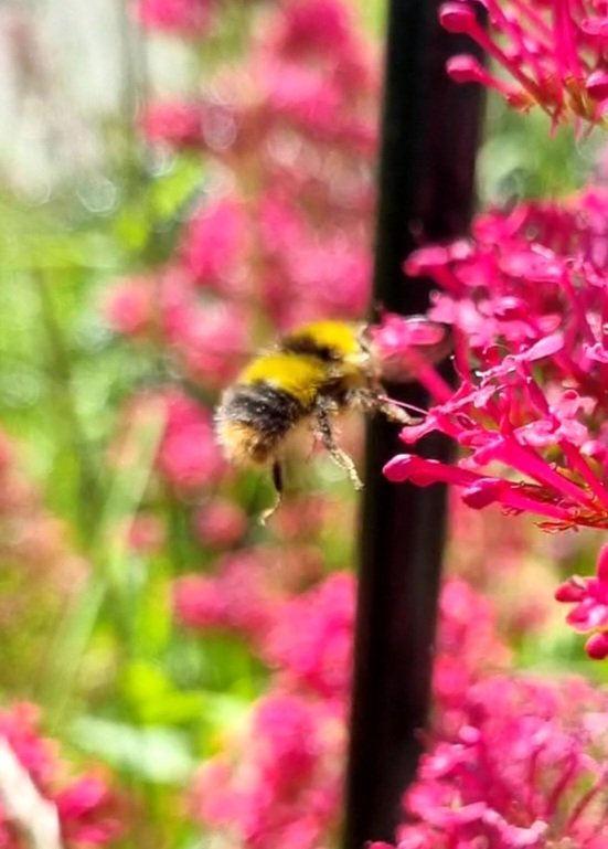 Russ Giles tweet media