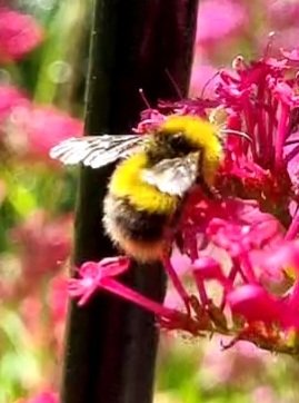 Russ Giles tweet media