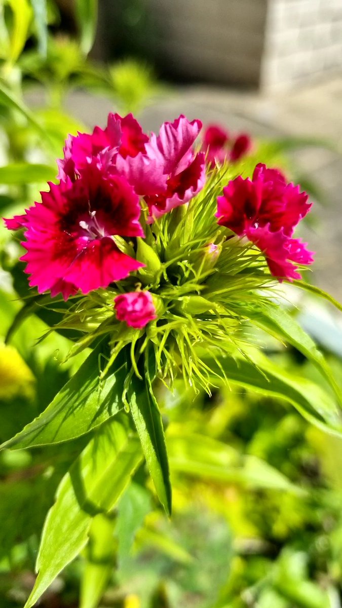 Russ Giles tweet media