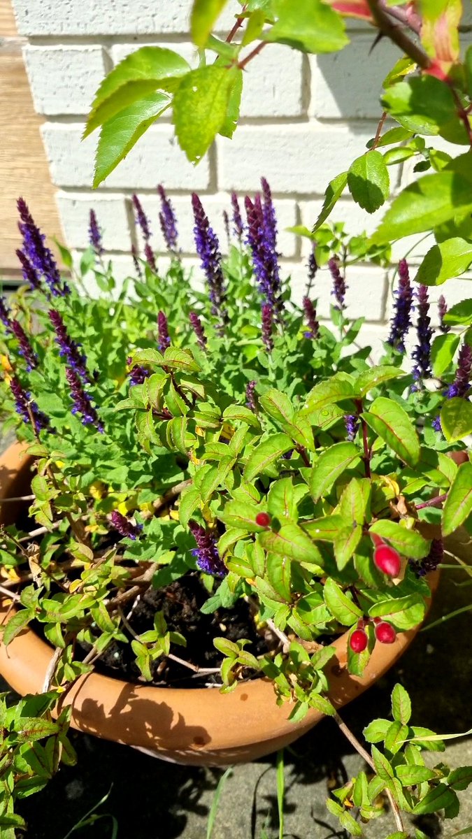 Russ Giles tweet media