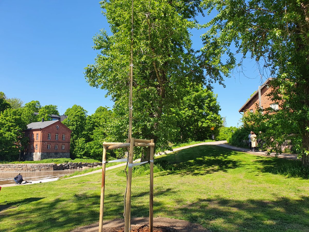 OlgaDibrova1's tweet photo. Touched by yet another manifestation of support of Helsinki to Ukraine 🇺🇦 . Planted together with Mayor Vartiainen, ⁦⁦@filsdeproust⁩ , Deputy Mayor ⁦@AnniSinnemaki⁩ a #Kharkiv poplar tree. #StrongerTogether #StandWithUkraine https://t.co/UHlYf3Og3s