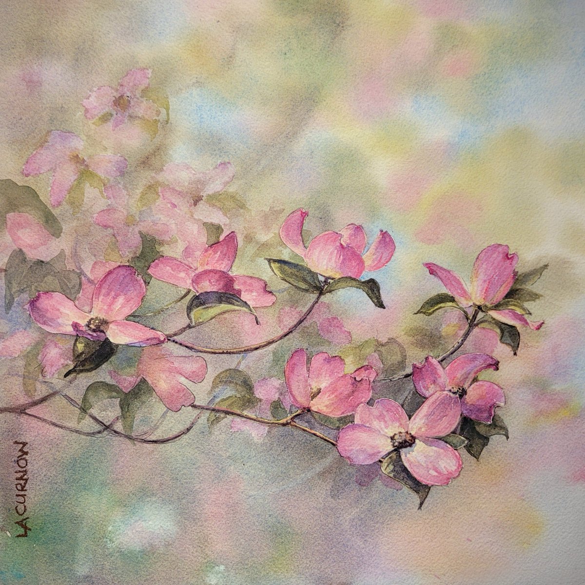 Good morning! 🌞🌸
Very happy to find out one of my paintings recently won an award 😊 I was trying to capture that feeling - when the sun is trying to cut through the morning fog.
"Pretty in Pink"
12x12 inch watercolor on Arches 140# CP paper