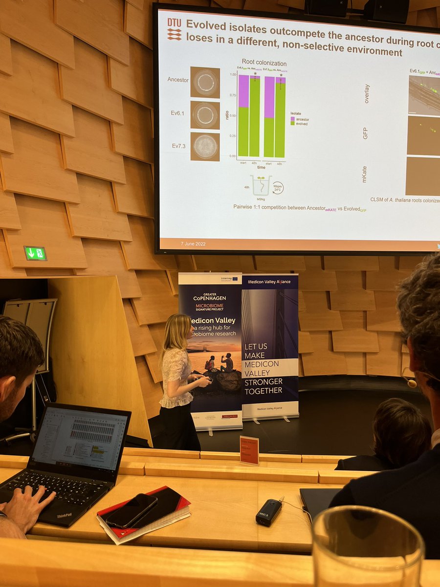 Caja Dinesen tweet media