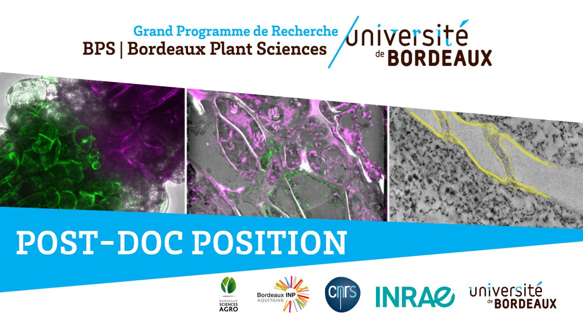 GPR_BPS's tweet photo. 🚨 Job Alert 💼

Post-doc position @univbordeaux:
Identify and integrate intercellular communication networks by multimodal 3-D microscopy approaches
🌱+🔬=🎾

🗓️ 24 months
📍 @BIC_Bordeaux Pôle imagerie du végétal

https://t.co/v4Jmcx1LK9
https://t.co/jYsF5w24ps

#PlantSciJobs https://t.co/xlDsSGLH52