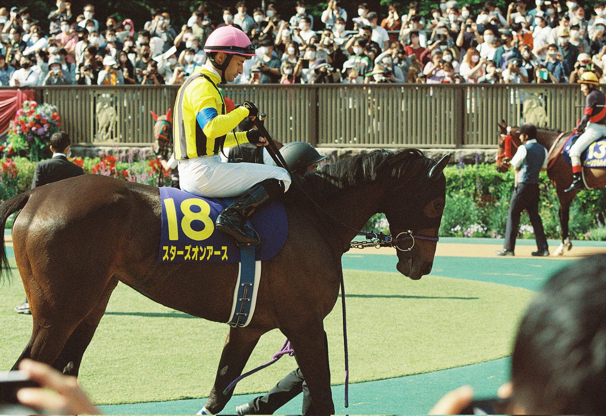 kaz_Pinguist's tweet photo. オートフォーカスの威力をみよ!!
CONTAX AX
Vario-Tessar 80-200mm F4
Kodak Portra 800
#フィルムカメラ
#CONTAX_AX
#東京競馬場
#オークス https://t.co/3jqOWZbHdd