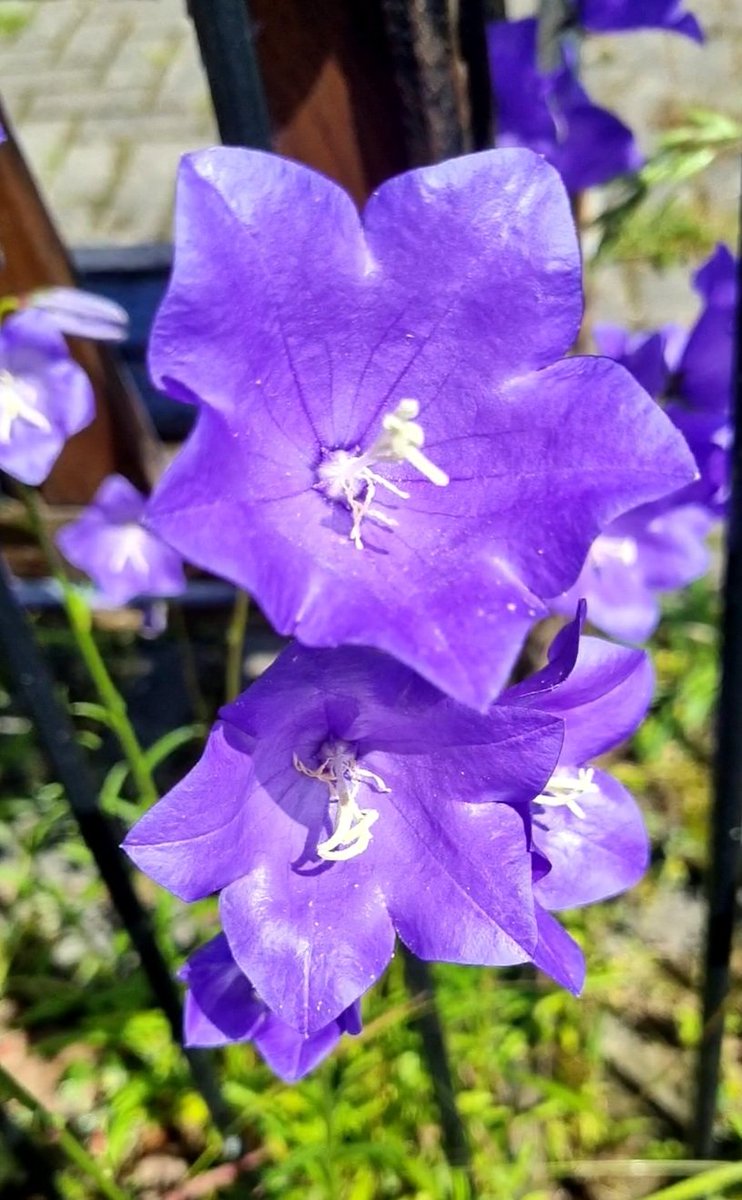 Russ Giles tweet media