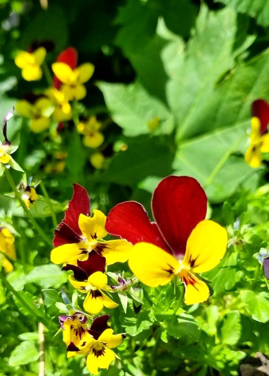 Russ Giles tweet media