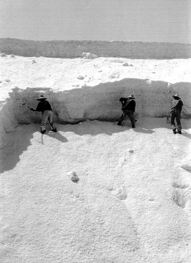XaviBarbeta's tweet photo. Salines d'Eivissa, 1950
📷 Francesc Català-Roca
Diario de Ibiza https://t.co/43fTrgjWN0