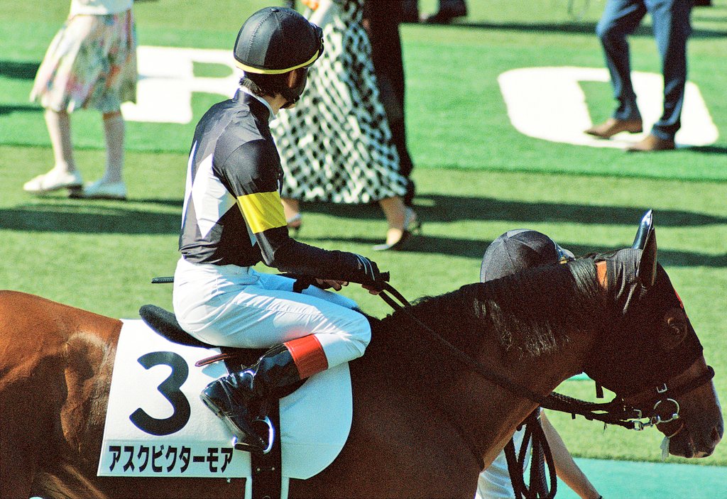 kaz_Pinguist's tweet photo. パドーック!
CONTAX AX
Tele-Tessar 300mm F4
Kodak Portra 800
#フィルムカメラ
#CONTAX_AX
#東京競馬場
#日本ダービー https://t.co/JJ9quEPIxK